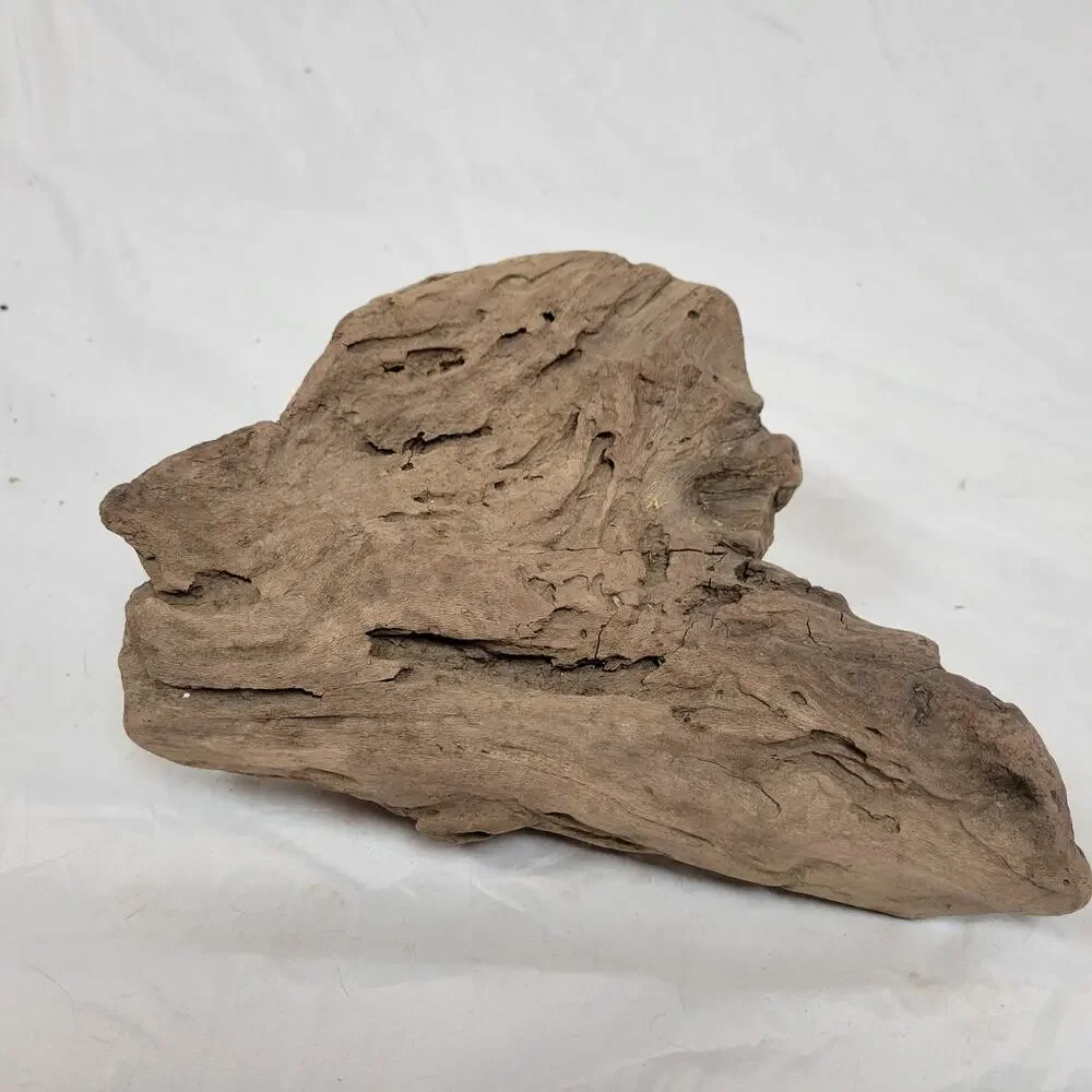 Ohio River Driftwood 12